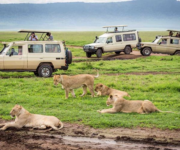 Tanzania safari ngorongoro crater