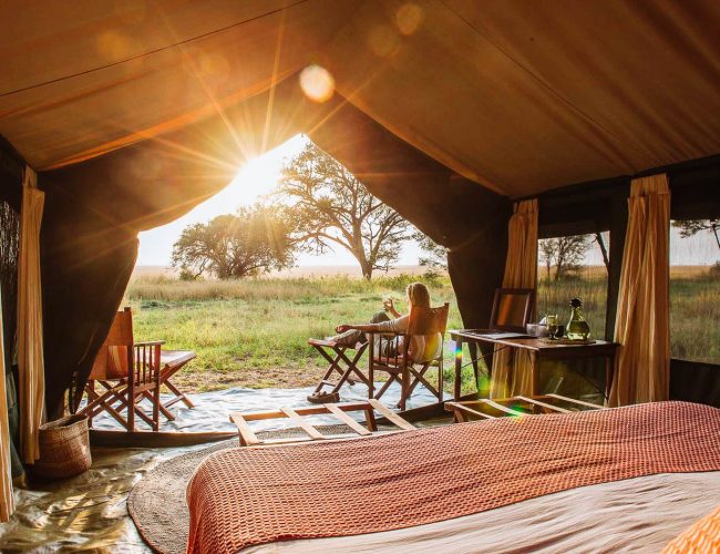 serengeti-safari-camp-relax-view-canvas-tent-sunset-tanzania